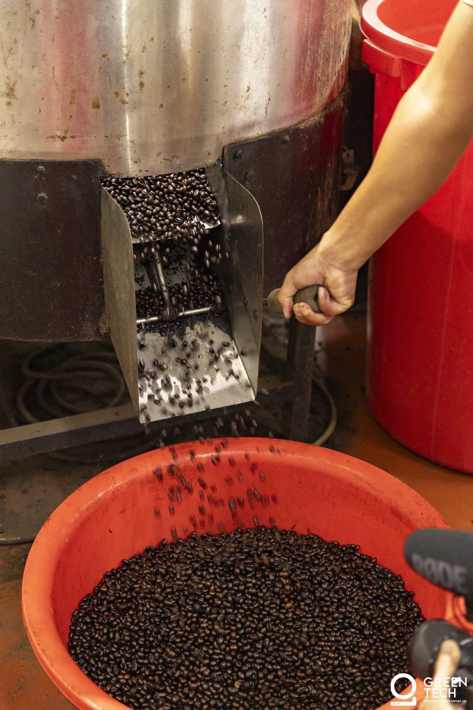 Fermentation and Standard Drying