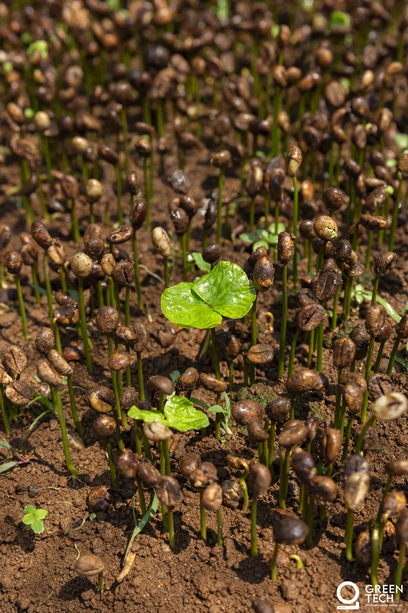 GreenTech moodboard image 1