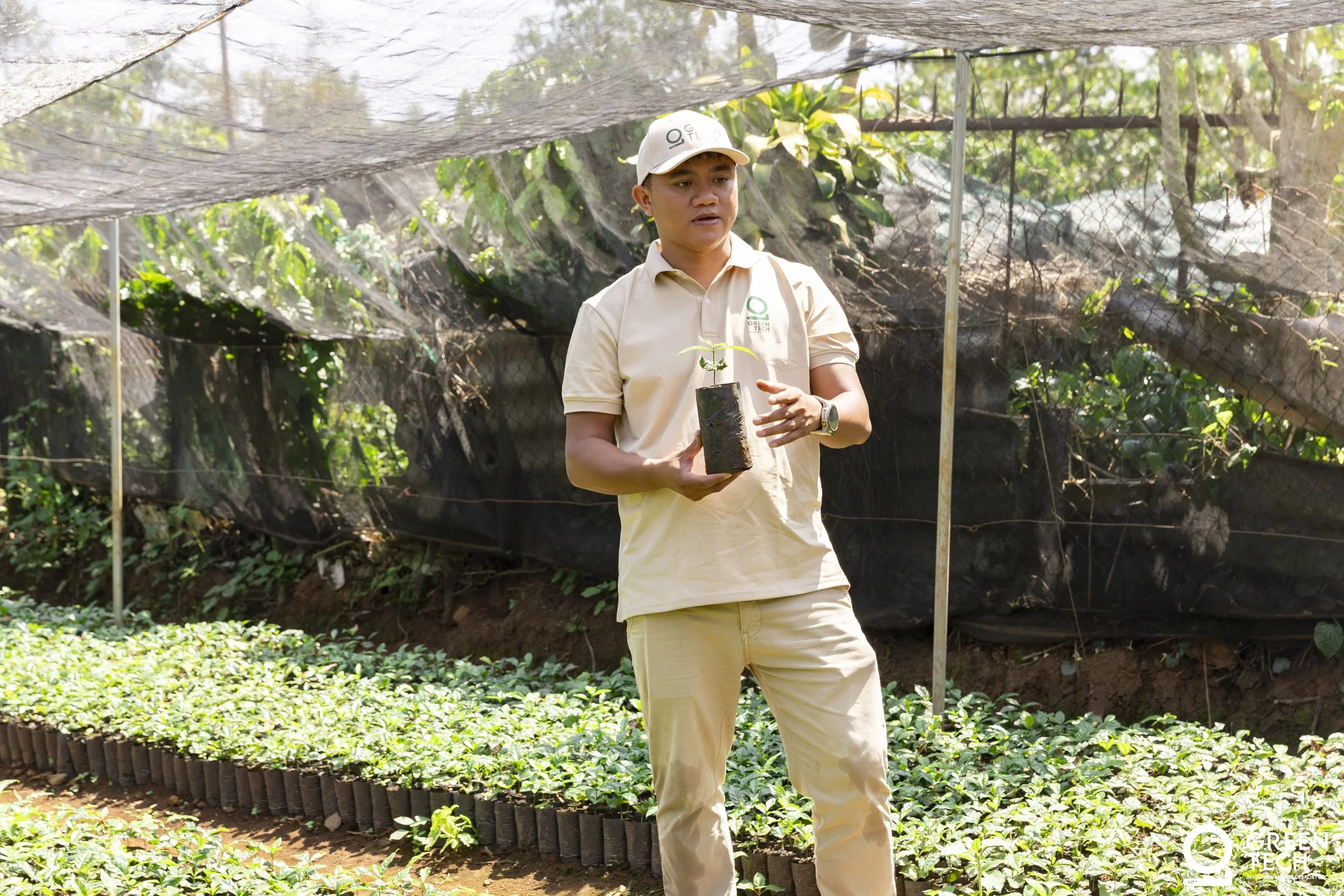 Basalt highlands at golden hour