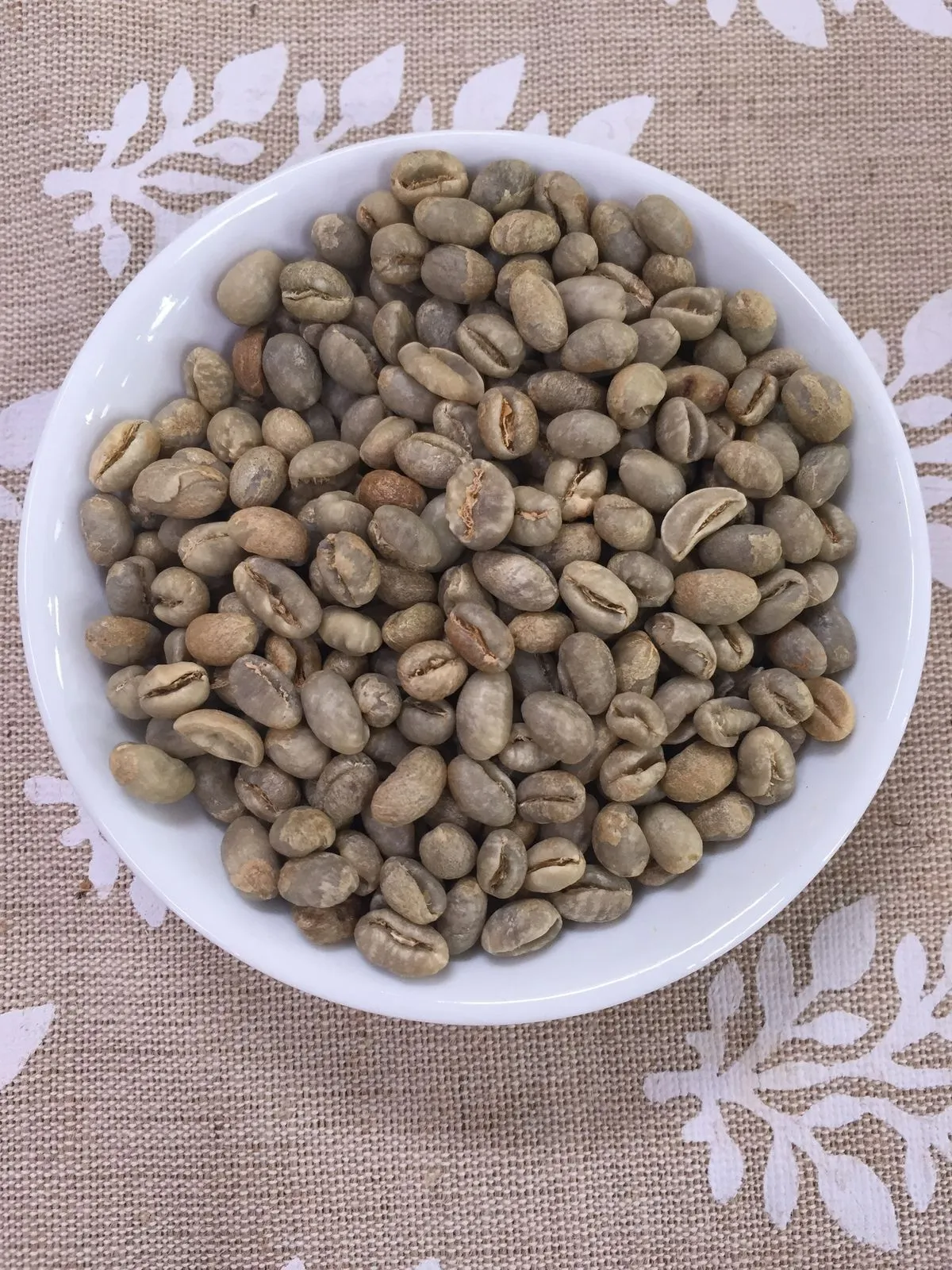 Robusta Culi